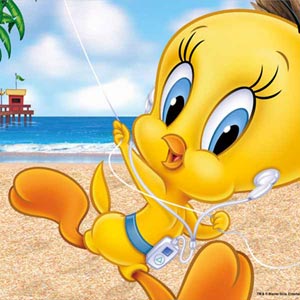 Looney Tunes Tweety Bird Ipod Galaxy Book 12in Skin